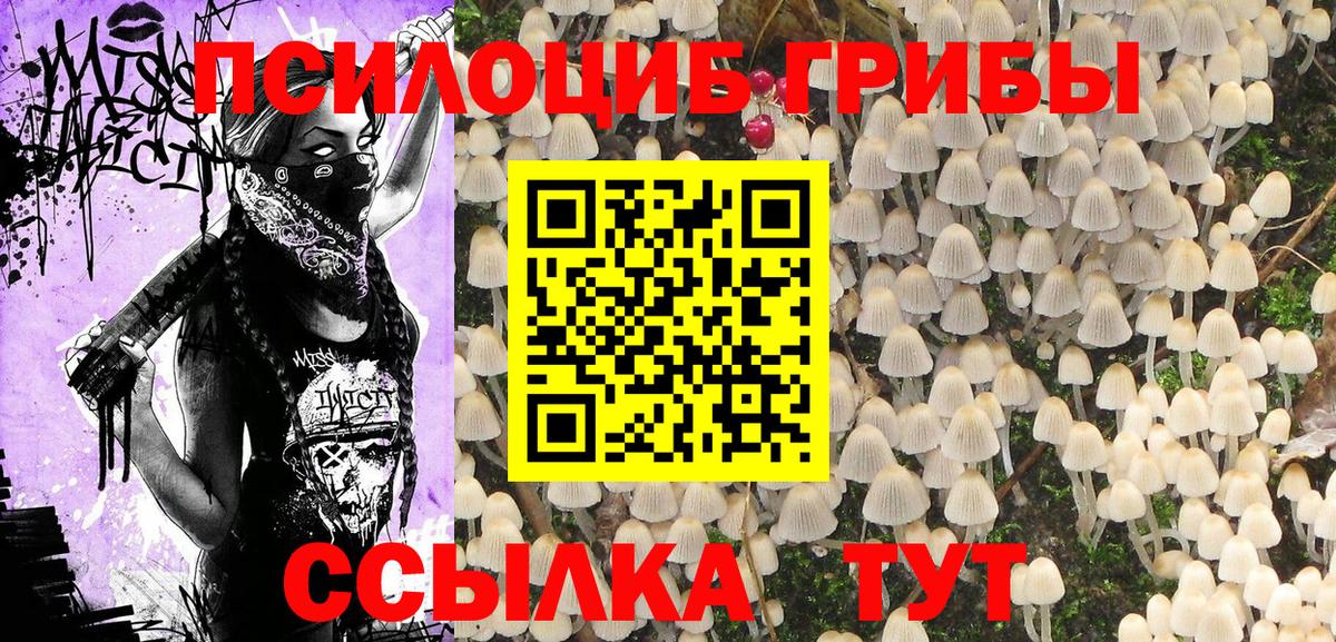Галлюциногенные грибы прущие грибы Луга