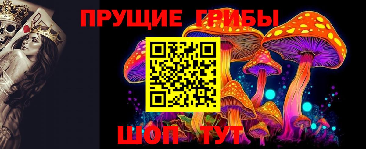 Луга  Псилоцибиновые грибы Psilocybe  Галлюциногенные грибы Psilocybe  Вход с VPN 